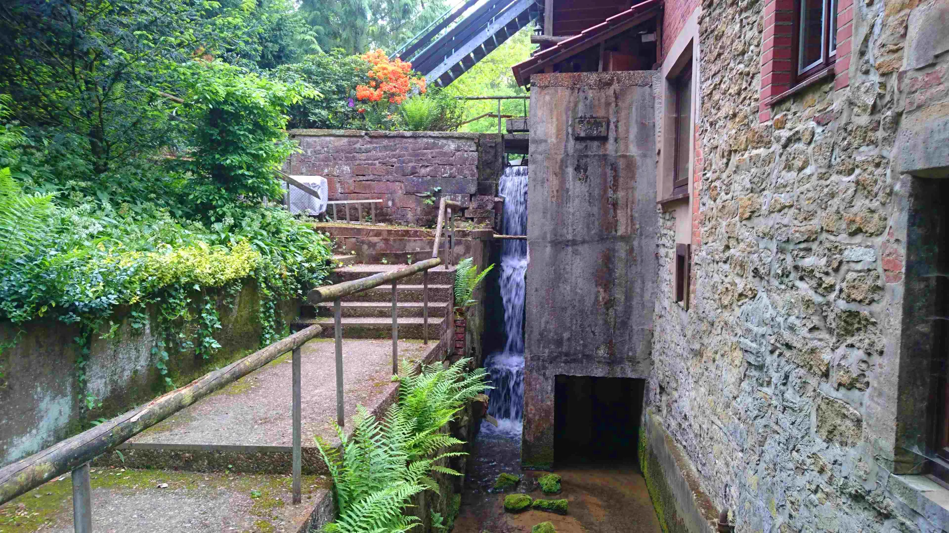 The Riesenmühle: rubble-stone wall of the mill house beside the weir where the water falls, steps and ferns in front