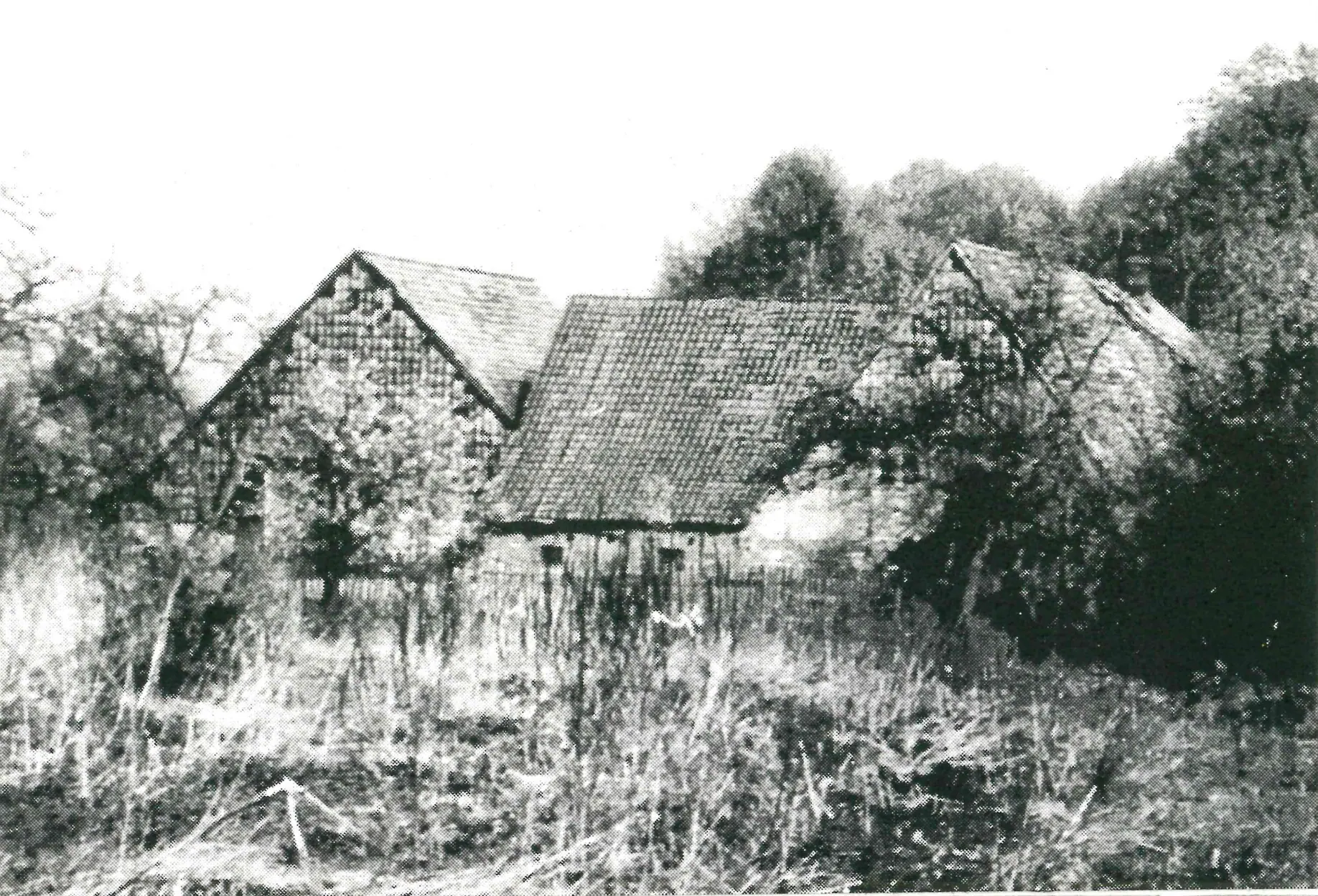 Silted-up pond in front of the old house
